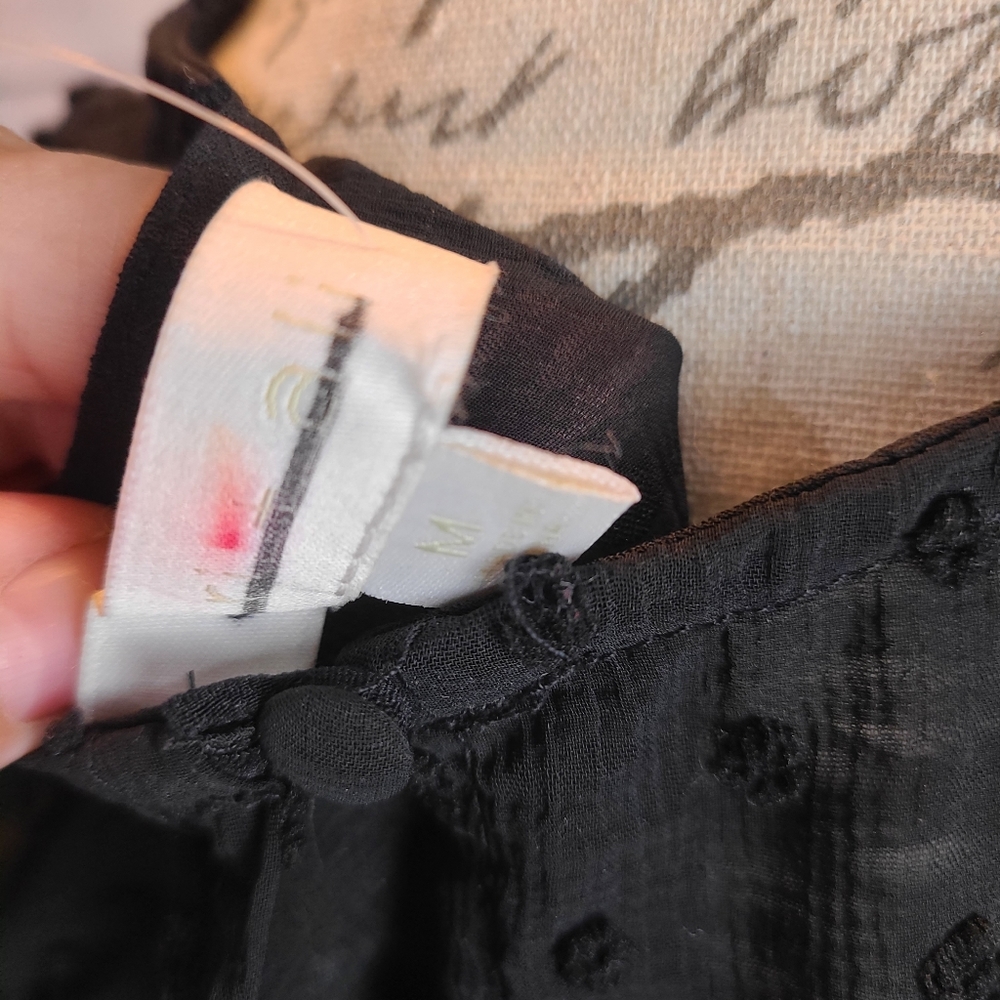 Polka Dot Sheer Embroidered Mini Dress - Picture 3 of 4